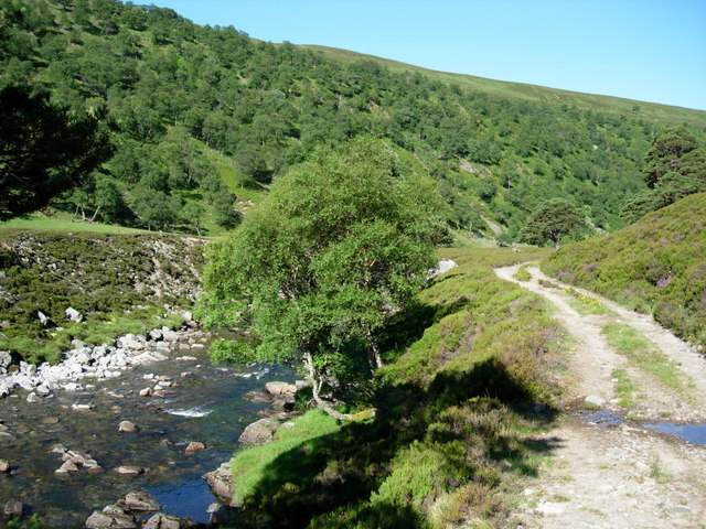 Долина Glen Feshie в Шотландии
