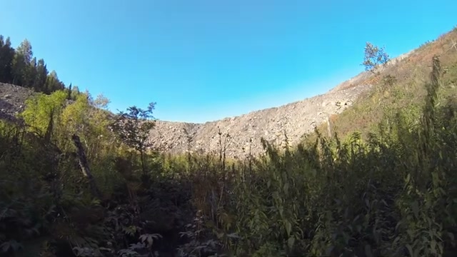Лесная долина рядом с породным откосом на территории Большого Чуазаса